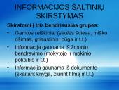 Informacijos šaltinis ir saugykla 3 puslapis