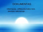 Informacijos šaltinis ir saugykla 4 puslapis