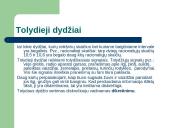 Informacinė visuomenė ir diskretinimas 15 puslapis