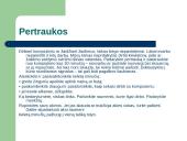 Socialiniai ir etiniai ﻿informacinės visuomenės aspektai  12 puslapis