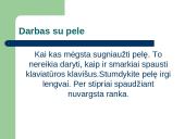 Socialiniai ir etiniai ﻿informacinės visuomenės aspektai  10 puslapis