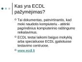 Kaip informacinės technologijos keičia visuomenę? 4 puslapis