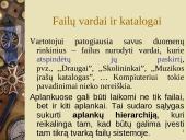 Informacinės technologijos sąvokos 14 puslapis