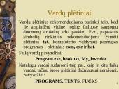 Informacinės technologijos sąvokos 17 puslapis