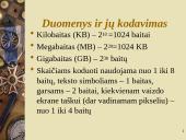 Informacinės technologijos sąvokos 9 puslapis