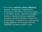 Intelektinės nuosavybės teisės 14 puslapis