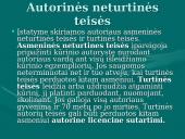 Intelektinės nuosavybės teisės 17 puslapis