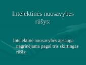 Intelektinės nuosavybės teisės 3 puslapis