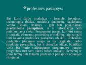 Intelektinės nuosavybės teisės 4 puslapis