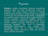 Intelektinės nuosavybės teisės 6 puslapis