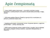 Internetinių svetainių čempionatas 2 puslapis