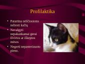 Intrauterinės infekcijos 15 puslapis