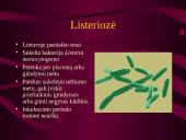 Intrauterinės infekcijos 16 puslapis