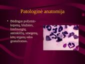 Intrauterinės infekcijos 17 puslapis