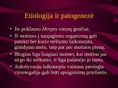 Intrauterinės infekcijos 3 puslapis