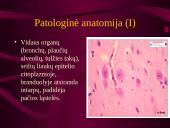 Intrauterinės infekcijos 4 puslapis