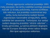 Jugoslavija ir Balkanų karas 12 puslapis