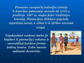 Jungtinės Amerikos Valstijos: susikūrimas, vidaus problemos bei politika 3 puslapis