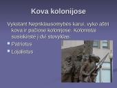 Jungtinių Amerikos Valstijų (JAV) nepriklausomybės karas 8 puslapis