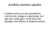 Juridiniai asmenys komercinių teisinių santykių dalyviai 2 puslapis