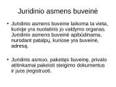 Juridiniai asmenys komercinių teisinių santykių dalyviai 12 puslapis