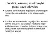 Juridiniai asmenys komercinių teisinių santykių dalyviai 13 puslapis