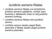 Juridiniai asmenys komercinių teisinių santykių dalyviai 16 puslapis