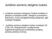 Juridiniai asmenys komercinių teisinių santykių dalyviai 18 puslapis