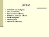 Kaip tinkamai įforminti savarankišką darbą 2 puslapis