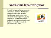 Kaip tinkamai įforminti savarankišką darbą 3 puslapis