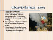 Kalendorinės šventės, jų reikšmė moksleivių etnokultūriniam ugdymui 11 puslapis
