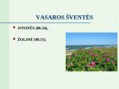 Kalendorinės šventės, jų reikšmė moksleivių etnokultūriniam ugdymui 17 puslapis