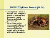 Kalendorinės šventės, jų reikšmė moksleivių etnokultūriniam ugdymui 18 puslapis