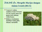 Kalendorinės šventės, jų reikšmė moksleivių etnokultūriniam ugdymui 19 puslapis