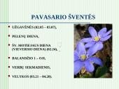 Kalendorinės šventės, jų reikšmė moksleivių etnokultūriniam ugdymui 10 puslapis