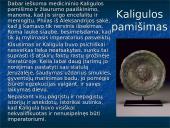 Kaligulos valdžia 9 puslapis