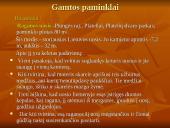 Kalvotoji Žemaitija ir žemaičių rūbai 16 puslapis