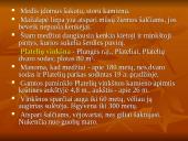 Kalvotoji Žemaitija ir žemaičių rūbai 18 puslapis