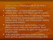 Kalvotoji Žemaitija ir žemaičių rūbai 19 puslapis