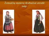 Kalvotoji Žemaitija ir žemaičių rūbai 3 puslapis