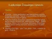 Kalvotoji Žemaitija ir žemaičių rūbai 6 puslapis