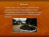 Kalvotoji Žemaitija ir žemaičių rūbai 10 puslapis