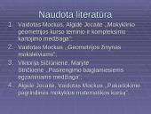 Kampai ir kitos plokštumos dalys 16 puslapis