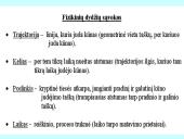 Kinematika kaip mechanikos rūšis 3 puslapis