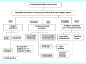 Kinematika kaip mechanikos rūšis 8 puslapis