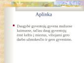 Kinija bei Kinijos gamta 11 puslapis