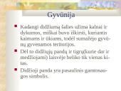 Kinija bei Kinijos gamta 8 puslapis