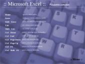 Klavišų kombinacijos Windows 95/98, Microsoft Word, Excel programose 14 puslapis