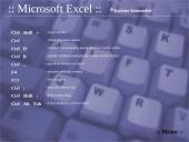 Klavišų kombinacijos Windows 95/98, Microsoft Word, Excel programose 17 puslapis