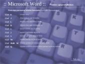 Klavišų kombinacijos Windows 95/98, Microsoft Word, Excel programose 8 puslapis
